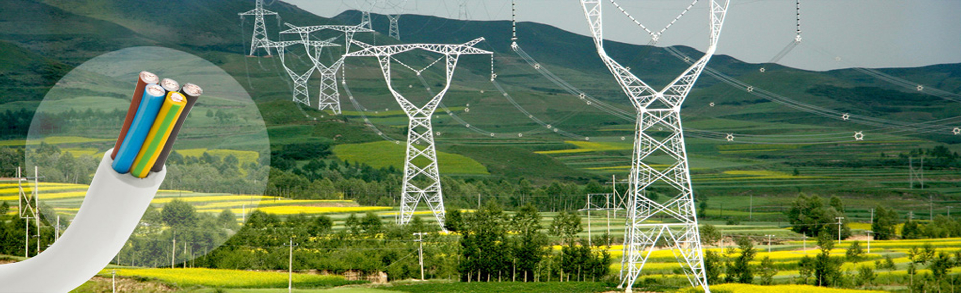 安徽半岛在线优秀品牌，绿宝特种半岛在线，厂家直销, 0551-64203668