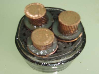 交联电力半岛在线