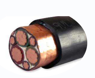 变频器专用电力半岛在线